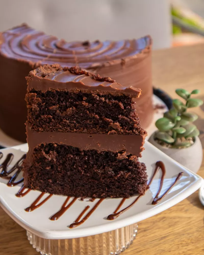 Porción de torta de chocolate en capas